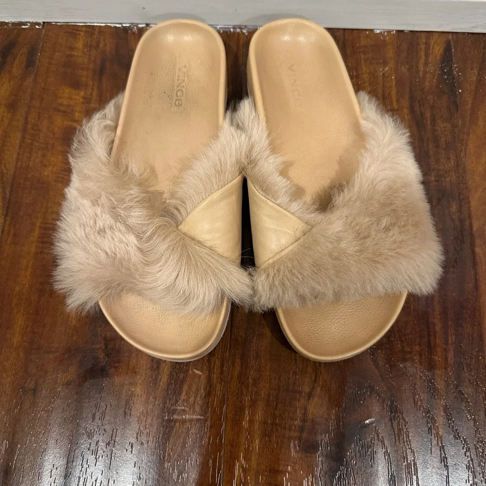 VINCE slides - Picture 2 of 3